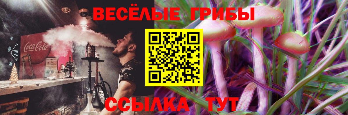 Лабытнанги  Псилоцибиновые грибы MAGIC MUSHROOMS  Вход с VPN 